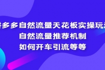 拼多多自然流量天花板实操玩法:自然流量推荐机制,如何开车引流等等-创业信息网