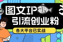 价值1688的ks dy 小红书图文ip引流实操课,日引50-100!各大平台已经实战-创业信息网