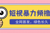 外面收费1680的短视频暴力撸金,日入300+长期可做,赠自动收款平台-创业信息网