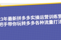 23年最新拼多多实操运营训练营:手把手带你玩转多多各种流量打法!-创业信息网