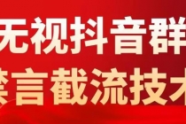 抖音粉丝群无视禁言截流技术，抖音黑科技，直接引流，0封号-创业信息网