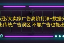 亚马逊/大卖家广告高阶打法+数据分析,走出传统广告误区 不靠广告也能出单-创业信息网