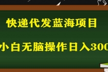 2023最新蓝海快递代发项目,小白零成本照抄也能日入300+-创业信息网