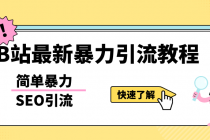 b站最新引流方法,暴力SEO引流玩法,一天可以量产几百个视频-创业信息网