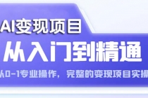 AI从入门到精通 从0-1专业操作，完整的变现项目实操-创业信息网