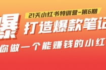 21天小红书特训营-第6期,打造爆款笔记,带你做一个能赚钱的小红书!-创业信息网
