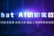 Chat AI初阶实战课,AI时代技术变革 未来已来 提高工作效率和未来竞争力-创业信息网