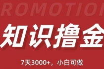 抖音知识撸金项目:简单粗暴日入1000+执行力强当天见收益(教程+资料)-创业信息网