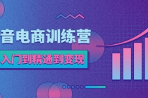 抖音电商训练营:从入门到精通,从账号定位到流量变现,抖店运营实操-创业信息网
