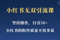小红书无双课一天引50+女粉,不用做视频发视频,小白也很容易上手拿到结果-创业信息网