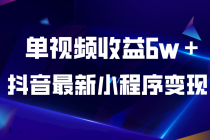 抖音最新小程序变现项目，单视频收益6w＋-创业信息网
