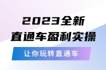 2023全新直通车·盈利实操:从底层,策略到搭建,让你玩转直通车-创业信息网