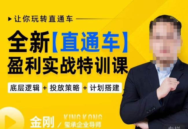 玺承·全新直通车盈利实战特训课,从底层逻辑详细拆解,从底层,策略到搭建,让你玩转直通车-创业信息网