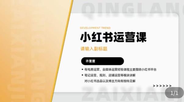 许筐筺·小红书运营课,笔记运营、规则、店铺运营等模块讲解,学会自己独立运营小红书账号-创业信息网