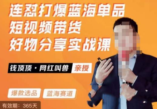 网红叫兽·连怼打爆蓝海单品,短视频带货好物分享实战课-创业信息网