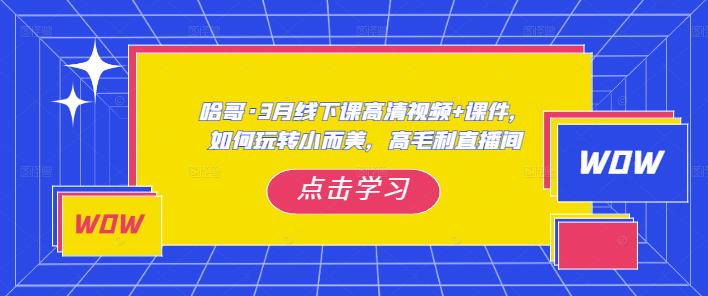 哈哥·3月线下实操课高清视频+课件,如何玩转小而美,高毛利直播间-创业信息网