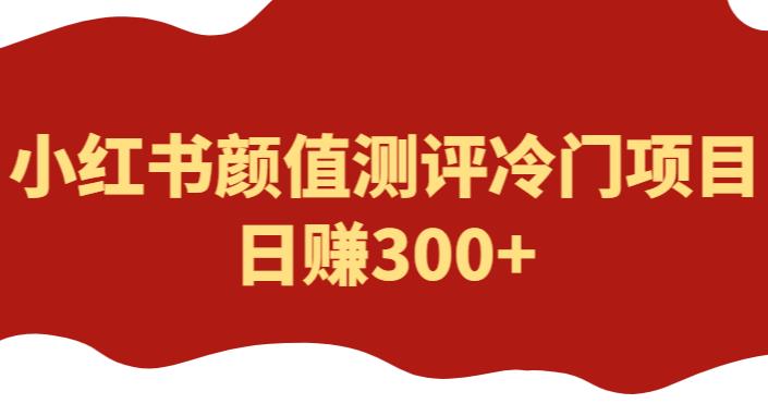 外面1980的项目,小红书颜值测评冷门项目,日赚300+【揭秘】-创业信息网