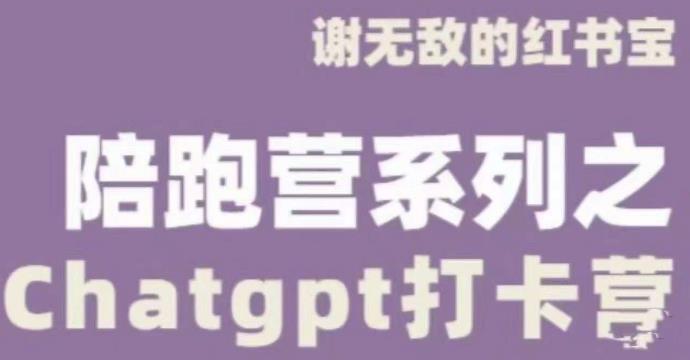 谢无敌ChatGPT打卡营,教你更好地使用ChatGPT来提高工作效率-创业信息网