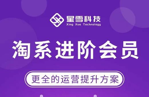 星雪·淘系进阶课程，快速提升突破技能流量瓶颈必备（更新2023年5月）-创业信息网