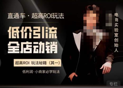 电商冰可乐·直通车·《低价引流·全店动销》,直通车·超高ROI玩法(其一)全店动销必学玩法-创业信息网