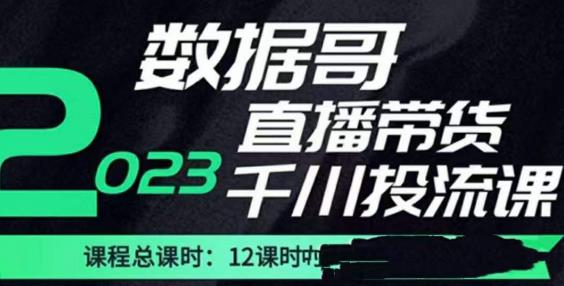 数据哥2023直播电商巨量千川付费投流实操课,快速掌握直播带货运营投放策略-创业信息网