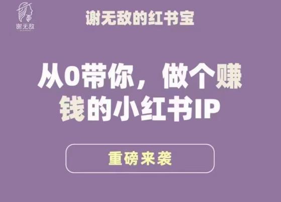 谢无敌·小红书运营大宝典，从0带你做个赚钱的小红书IP-创业信息网