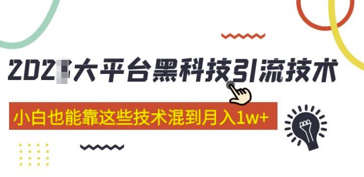 大平台黑科技引流技术，小白也能靠这些技术混到月入1w+(2022年的课程）-创业信息网