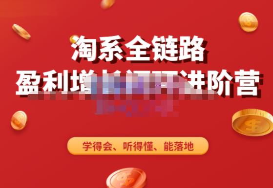 淘系全链路盈利增长闭环进阶营,融合全店动销,学得会、听得懂、能落地!-创业信息网