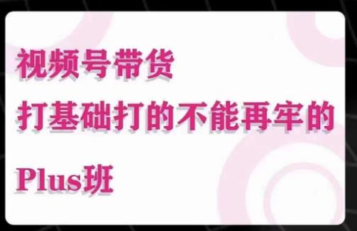 大播汇·视频号带货Puls班,视频号底层逻辑,起号自然流鱼塘等玩法-创业信息网