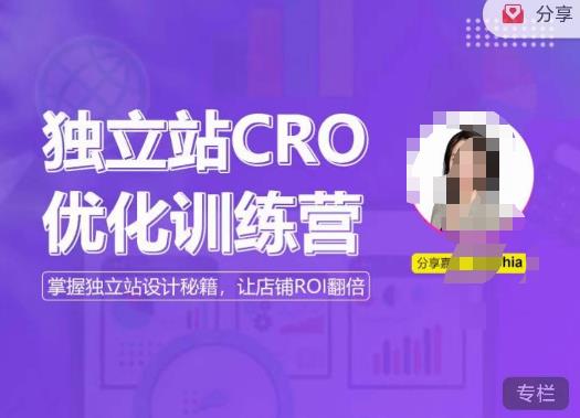 独立站CRO优化训练营,掌握独立站设计秘籍,打造高转化的独立站,让店铺ROI翻倍-创业信息网