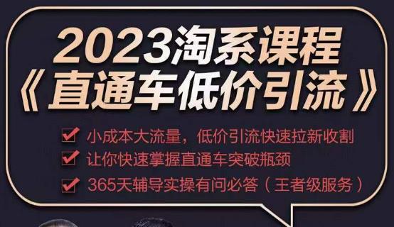 2023直通车低价引流玩法课程，小成本大流量，低价引流快速拉新收割，让你快速掌握直通车突破瓶颈-创业信息网