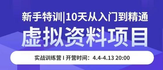 虚拟资料项目新手特训,10天从入门到精通,保姆级实操教学-创业信息网