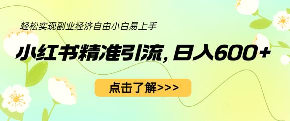 小红书精准引流,小白日入600+,轻松实现副业经济自由(教程+1153G资源)-创业信息网