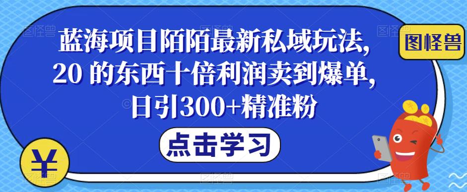 蓝海项目陌陌最新私域玩法,20 的东西十倍利润卖到爆单,日引300+精准粉【揭秘】-创业信息网