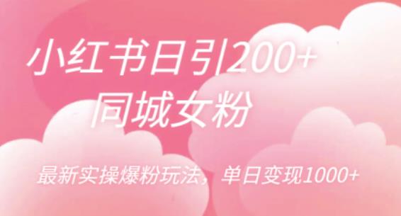 小红书日引200+同城女粉,最新实操爆粉玩法,单日变现1000+【揭秘】-创业信息网