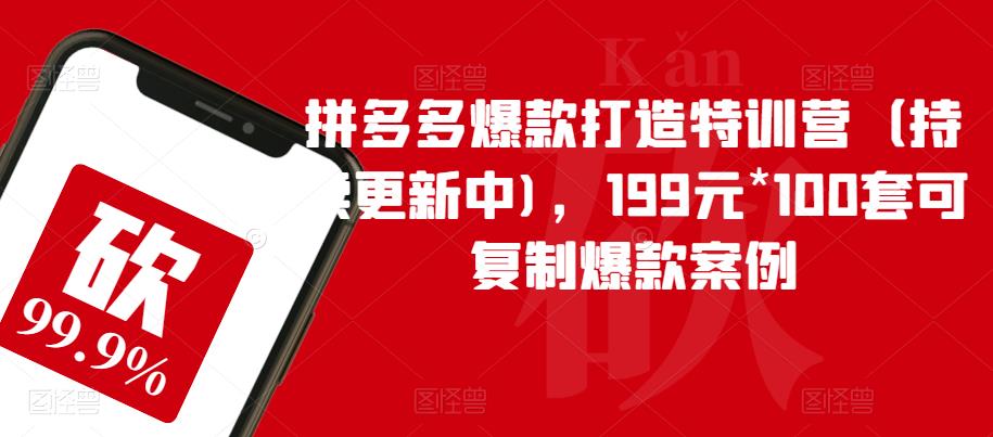 拼多多爆款打造特训营(持续更新中),199元*100套可复制爆款案例-创业信息网
