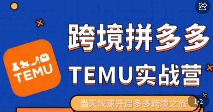 大鹏出海·拼多多跨境temu运营指导，开店注册+选品+核价上架，日出千单实战课-创业信息网