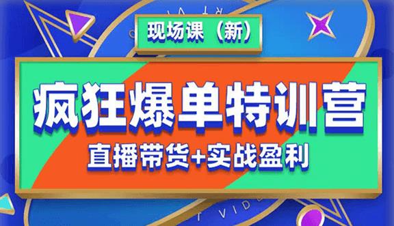 抖音短视频疯狂爆单特训营现场课(新)直播带货+实战案例-创业信息网