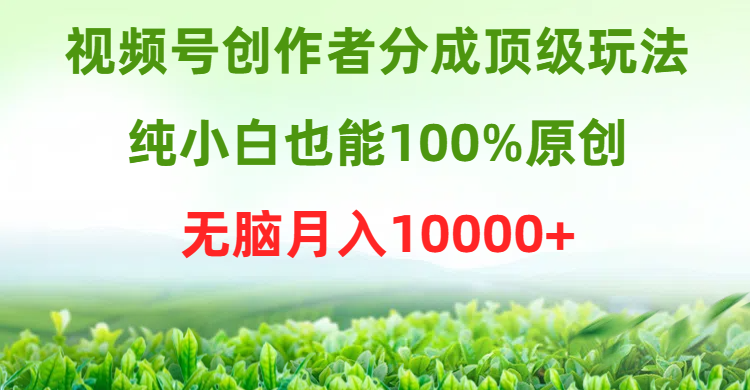视频号创作者分成顶级玩法，纯小白也能100%原创，无脑月入10000+-创业信息网