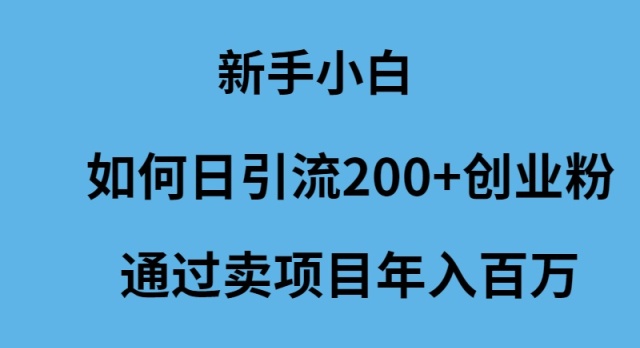 新手小白如何日引流200+创业粉通过卖项目年入百万-创业信息网