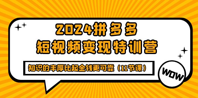 2024拼多多短视频变现特训营,知识的丰厚比起金钱更可靠-创业信息网