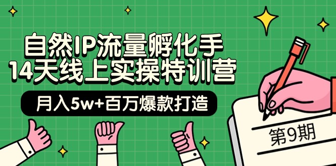 自然IP流量孵化手 14天线上实操特训营【第9期】月入5w+百万爆款打造 (74节)-创业信息网