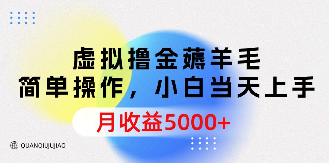 虚拟撸金薅羊毛，简单操作，小白当天上手，月收益5000+-创业信息网