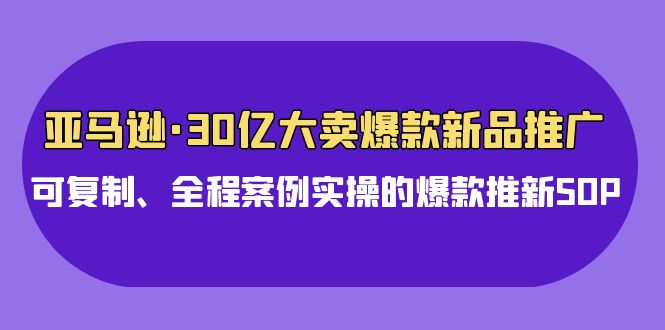 亚马逊30亿·大卖爆款新品推广,可复制、全程案例实操的爆款推新SOP-创业信息网