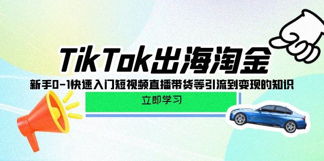 TikTok-出海淘金,新手0-1快速入门短视频直播带货等引流到变现的知识-创业信息网