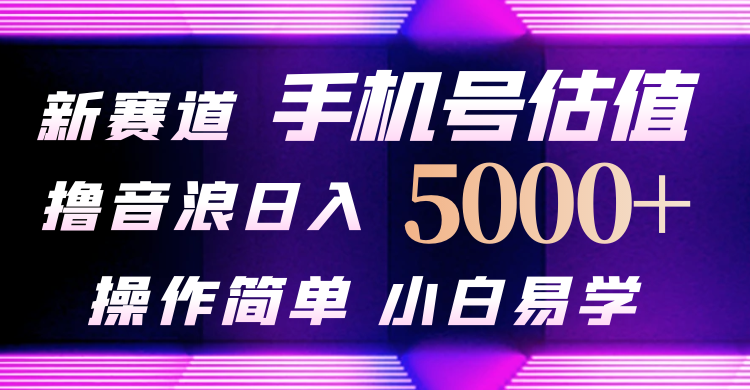 抖音不出境直播【手机号估值】最新撸音浪,日入5000+,简单易学,适合…-创业信息网