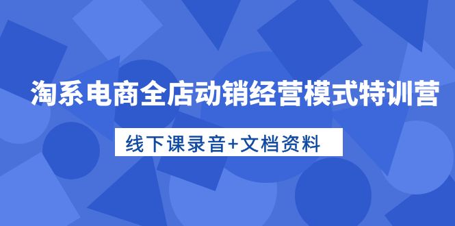 淘系电商全店动销经营模式特训营,线下课录音+文档资料-创业信息网