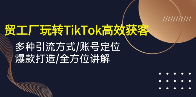 外贸工厂玩转TikTok高效获客,多种引流方式/账号定位/爆款打造/全方位讲解-创业信息网