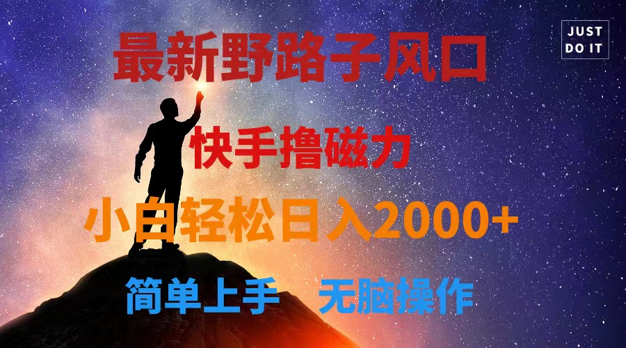 最新风口！快手撸磁力，野路子，小白无脑操作日入2000+-创业信息网