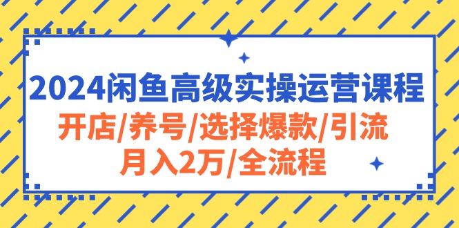 2024闲鱼高级实操运营课程：开店/养号/选择爆款/引流/月入2万/全流程-创业信息网